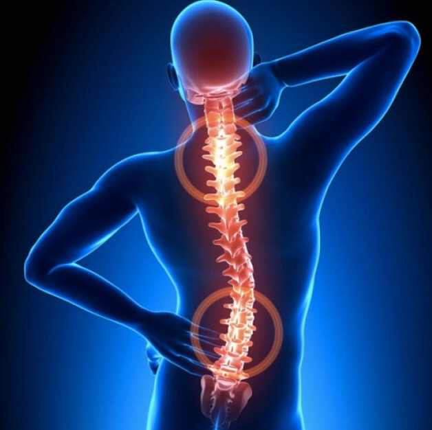 formación: patologías de la columna vertebral